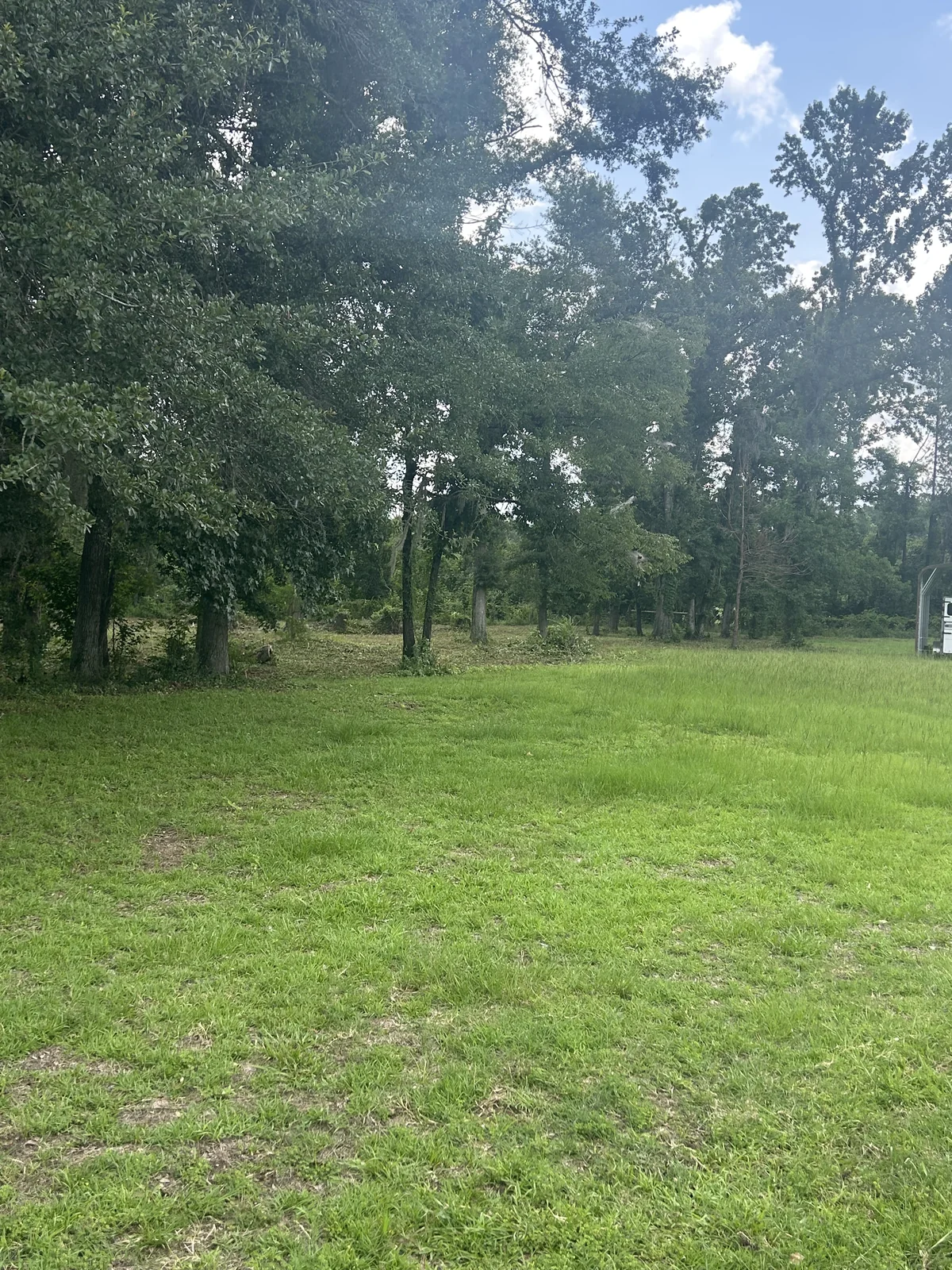 Fence line and perimeter brush cutting in South Georgia
