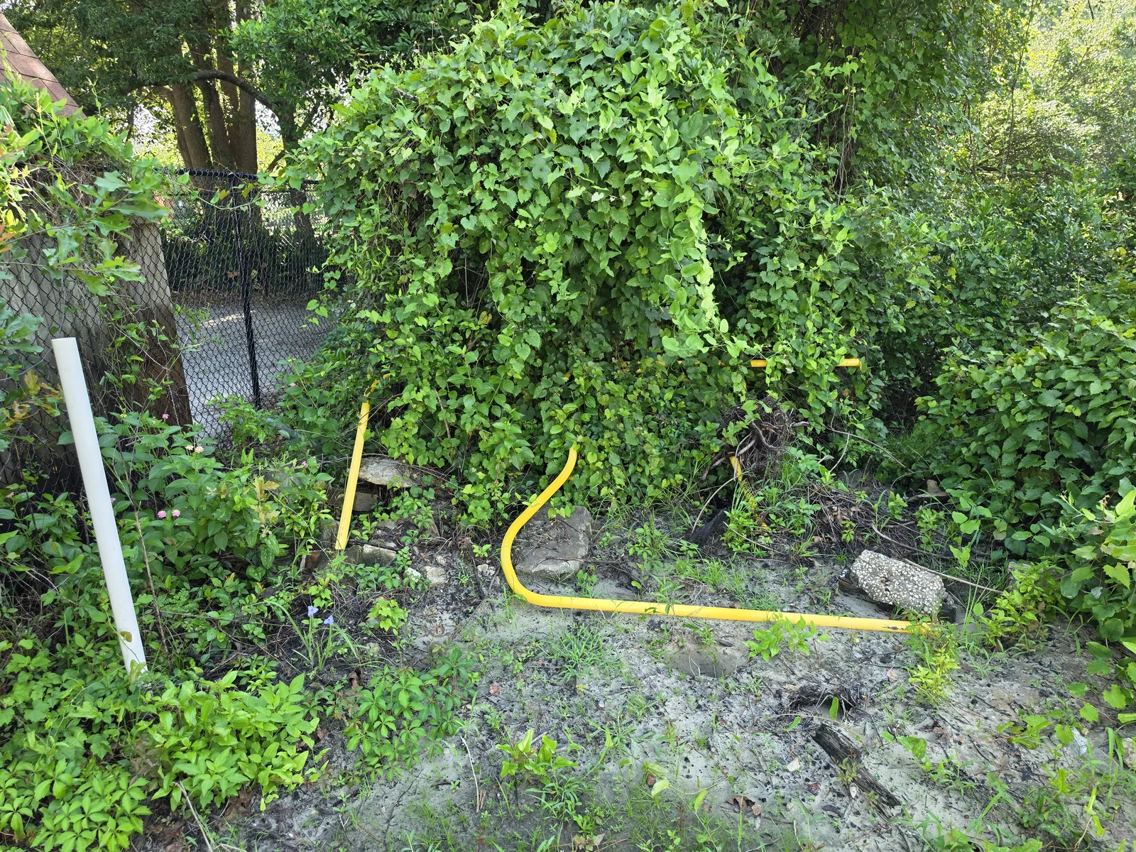 Fence line and perimeter brush cutting in Valdosta GA