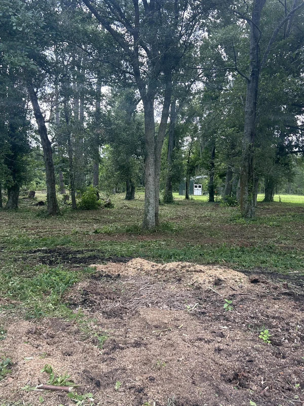 Fence line and perimeter brush cutting in Lowndes County GA