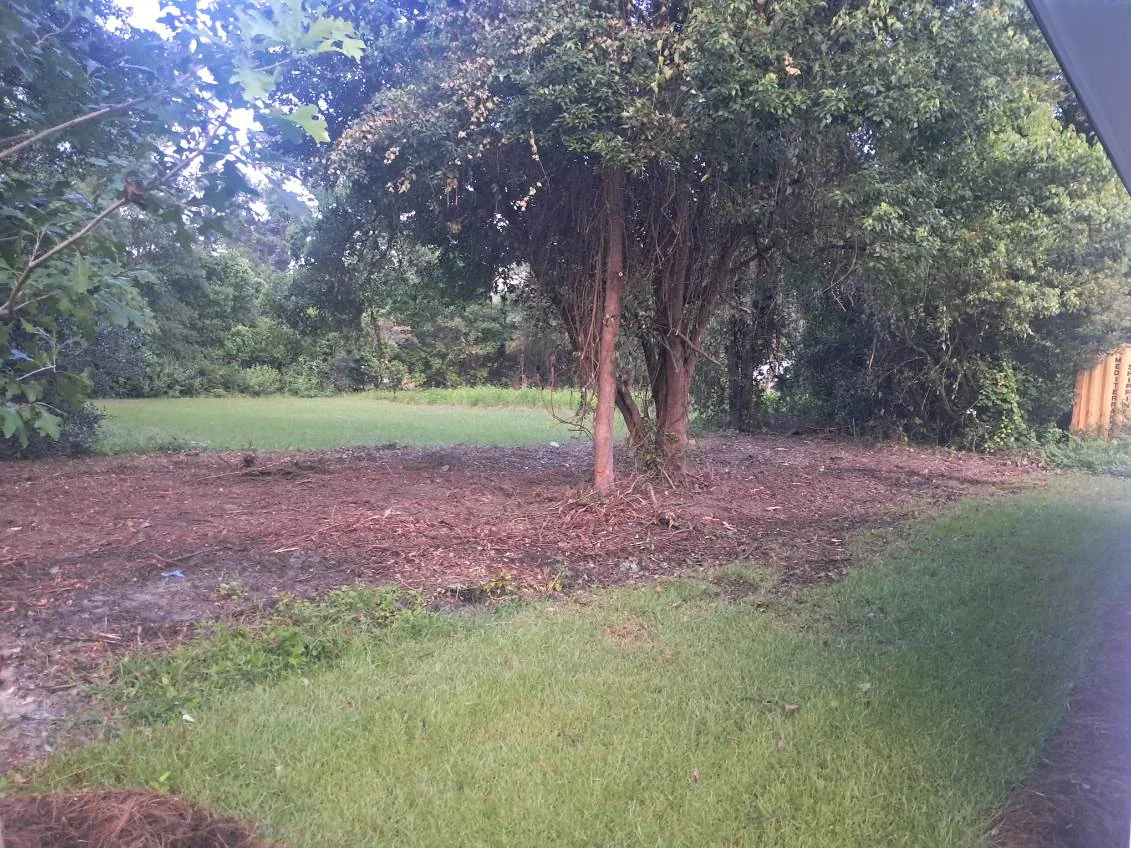 Dense brush mowing and heavy acreage pasture reclamation in South Georgia
