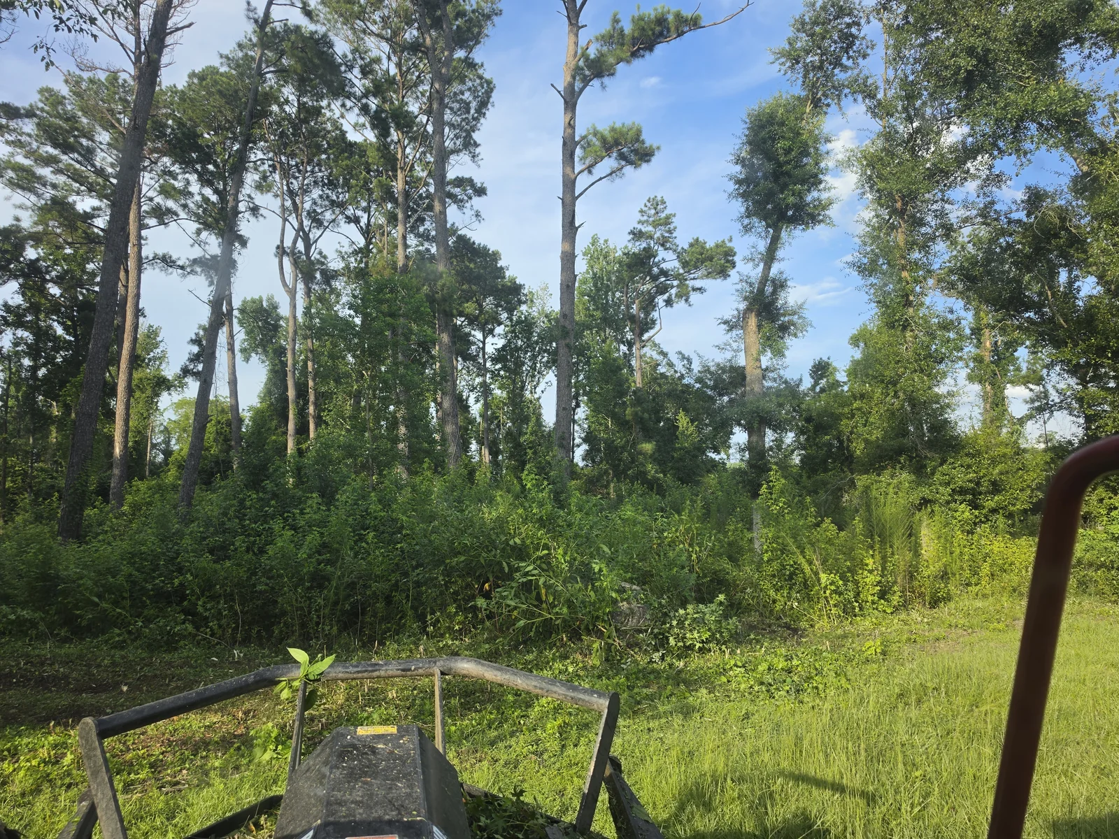 Heavy acreage bush mowing and field clearing in Cook County GA