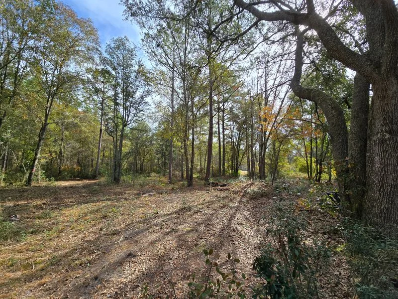 Land Clearing and Lot Preparation Services in South Georgia