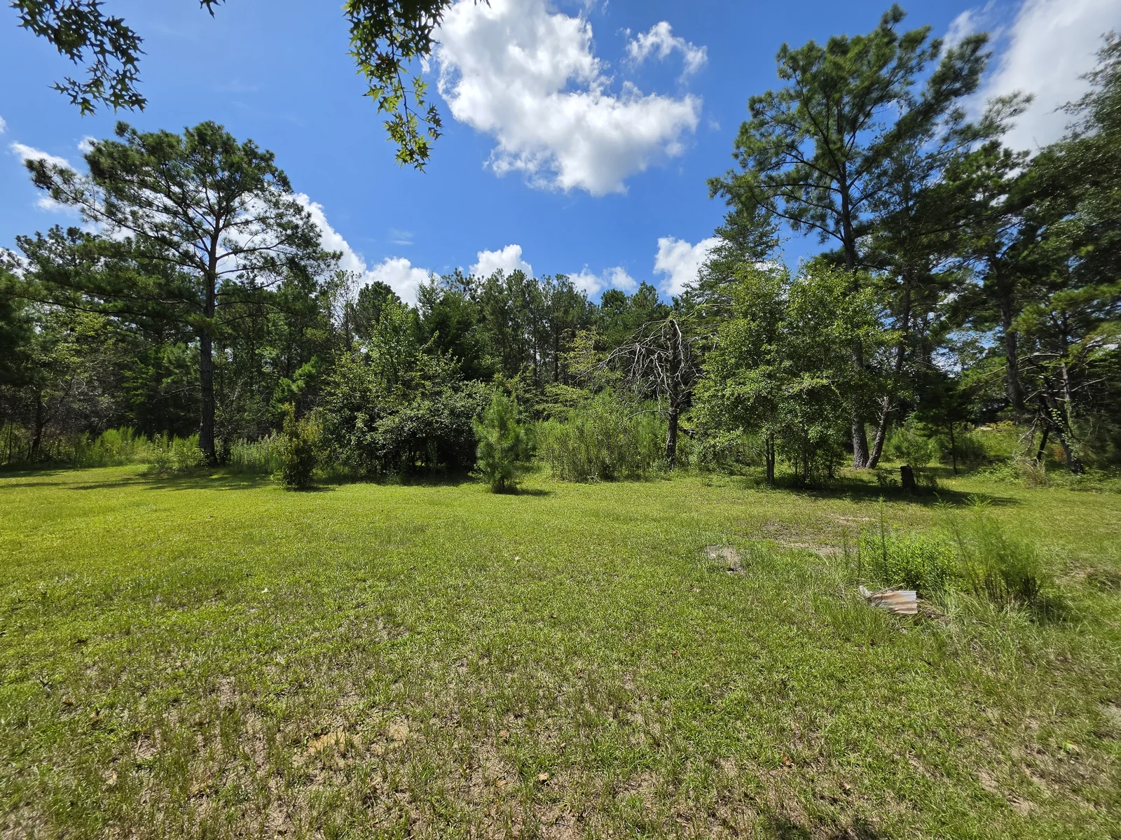 Selective land clearing and site debris cleanup in Lowndes County