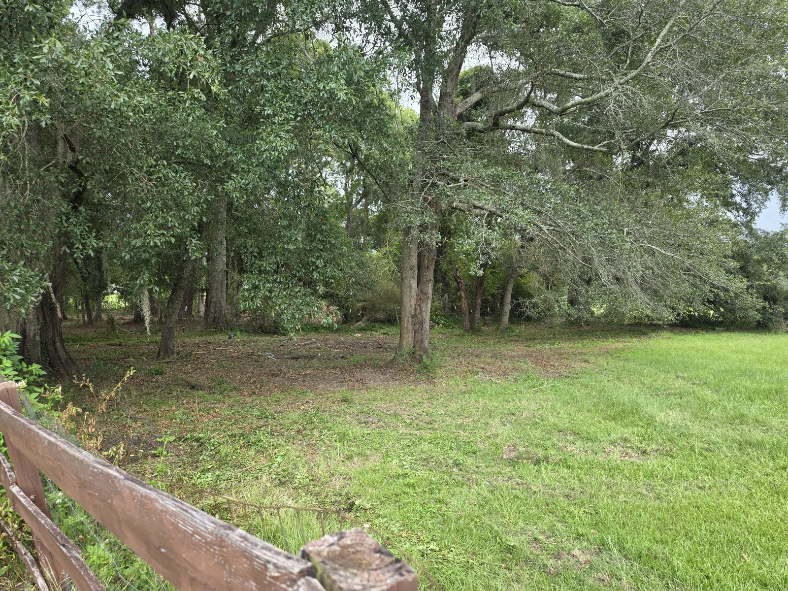 Selective land clearing and debris removal in South Georgia