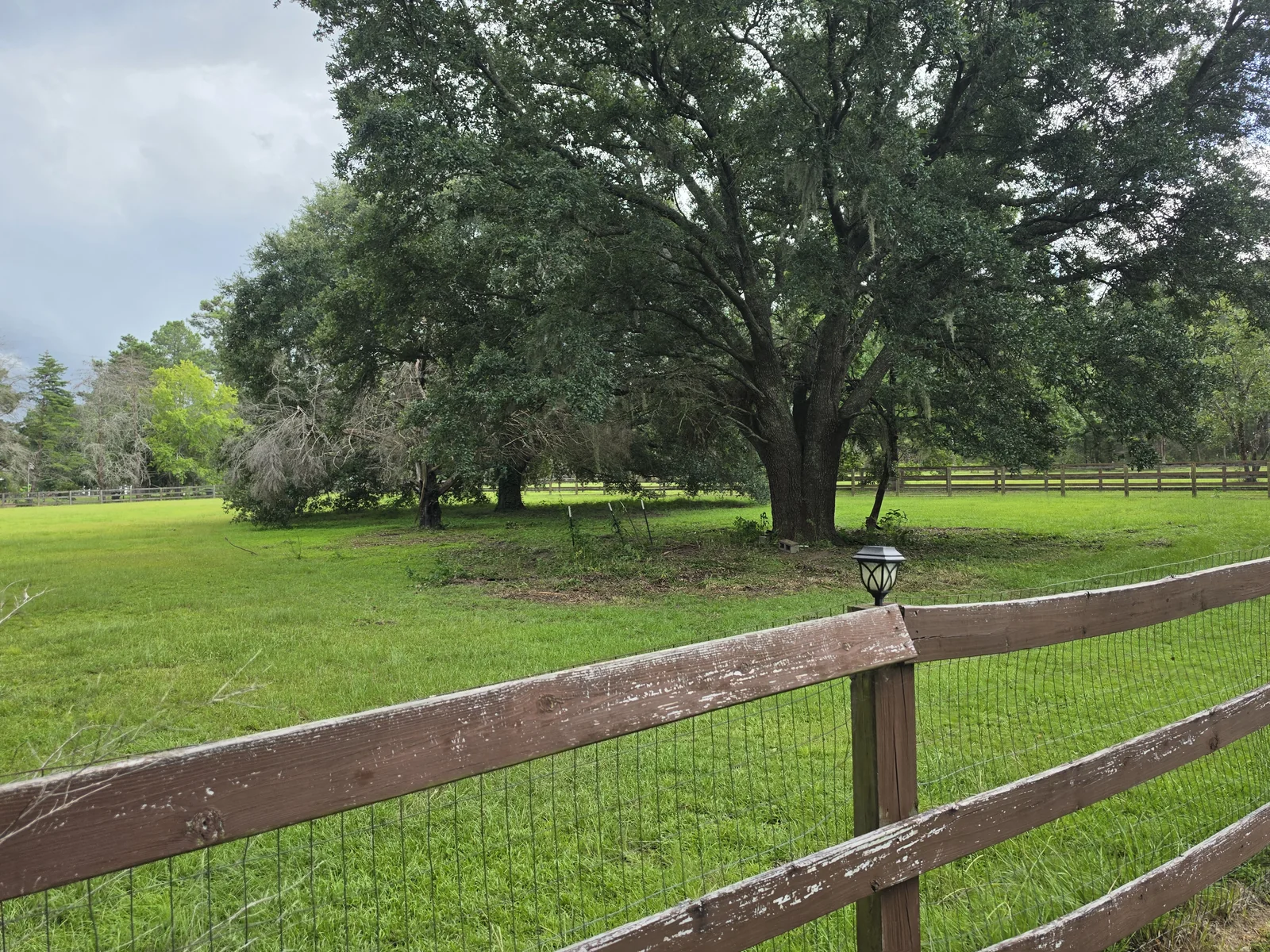 Wooded lot underbrush thinning and property cleanup in Lowndes County