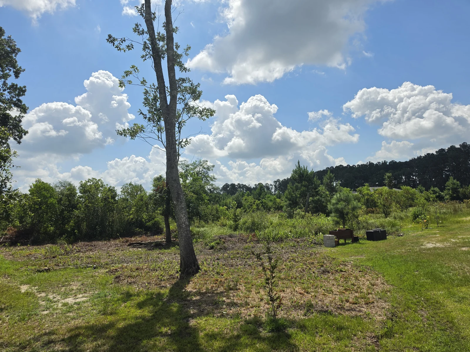 Ground contouring and slope correction in South Georgia