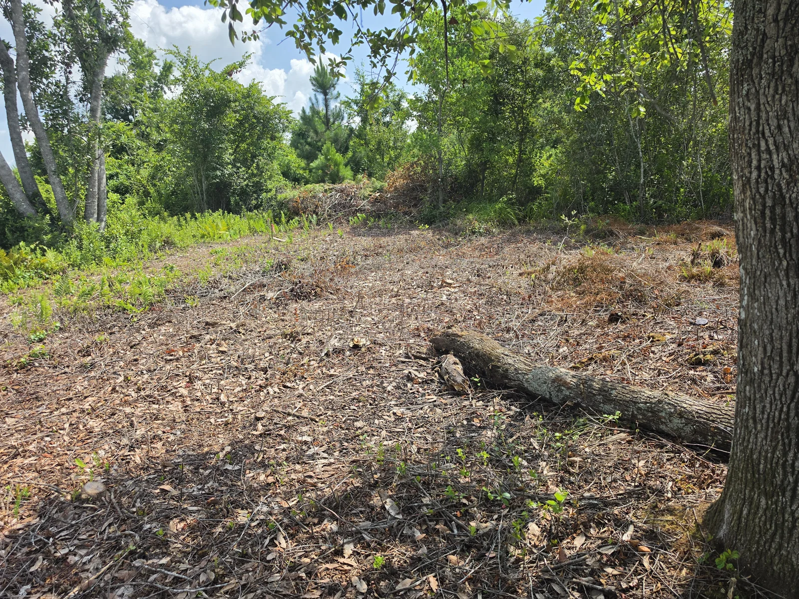 Trenching and Land Grading Services in Lowndes County