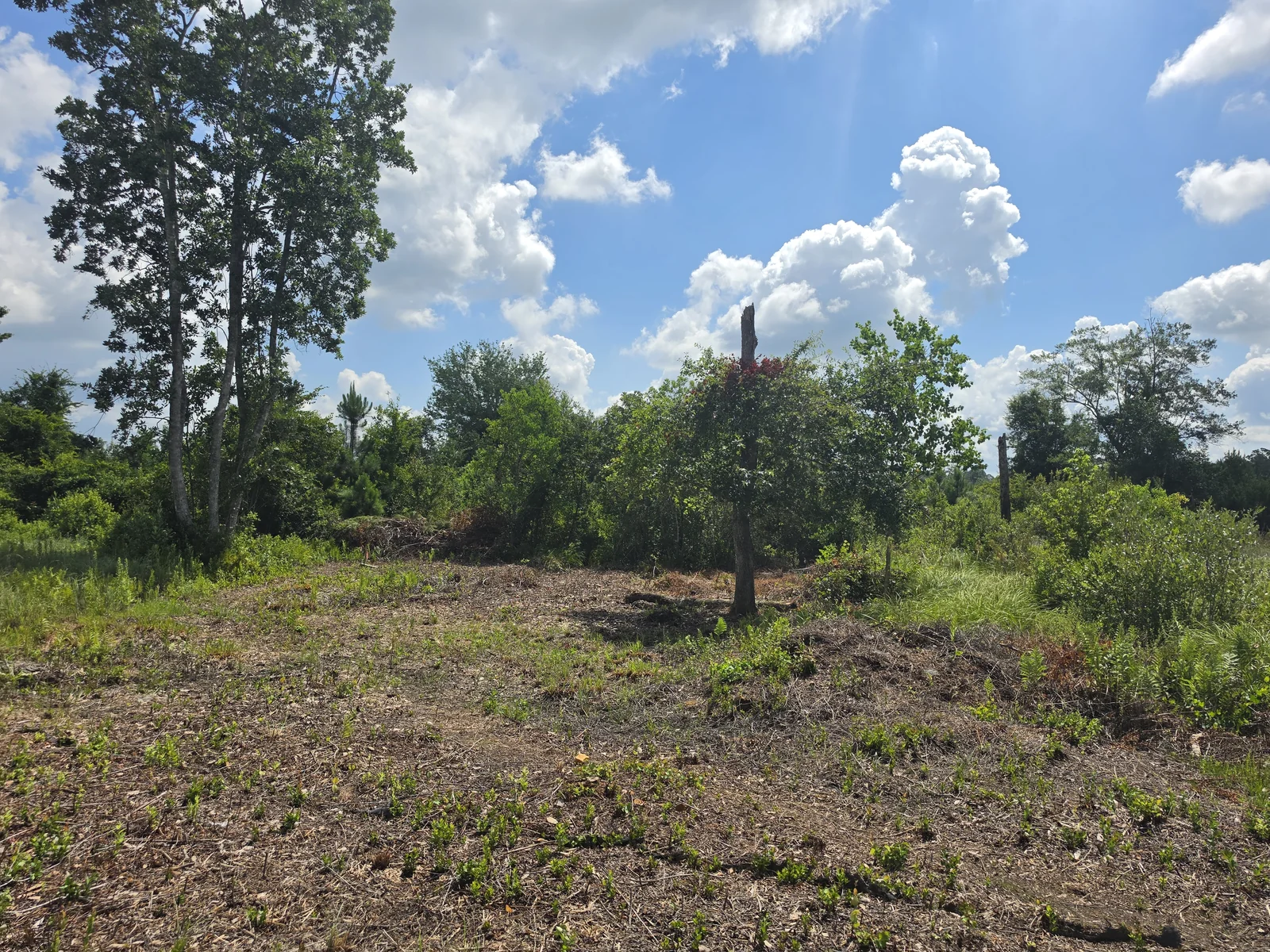 Ground contouring and slope correction for positive drainage in Valdosta GA